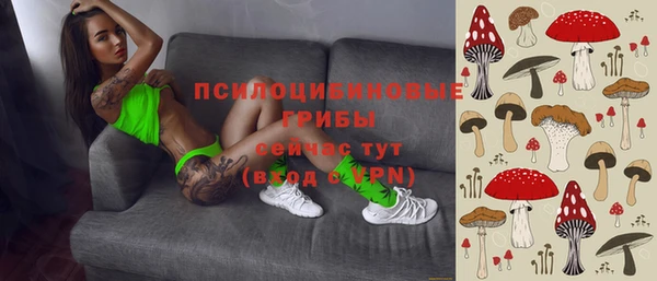 метадон Алексеевка